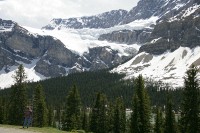 The Icefields Highway