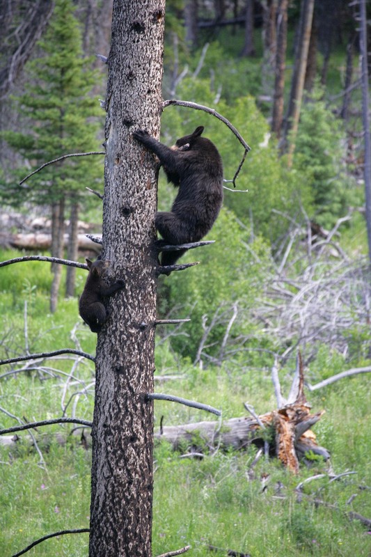 Hey mom!  It's getting a little hard to hang on here