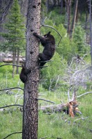 Hey mom!  It's getting a little hard to hang on here