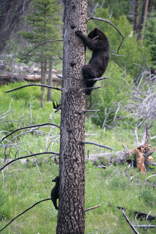 OK, thats it.  I getting down from here