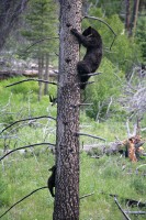 OK, thats it.  I getting down from here