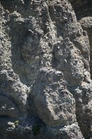 Here is the eagle's nest.  Mom is there, but difficult to see with this lens.  I really would love to have my 600, 1.4x converter and a tripod.