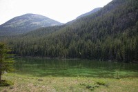 This mossy pond had lots of shades of green, the photo doesn't do it justice.