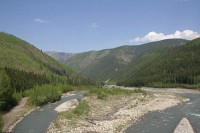 Along the Alaska Highway in British Columbia