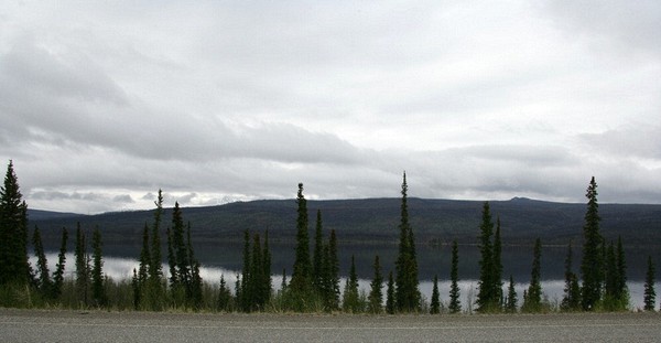 Day 5 - Watson Lkee, Yukon to Whitehorse, Yukon