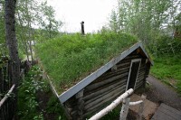 Low maintenance roof.