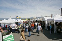 There was a charity run and a market just outside the Anchorage Hilton.