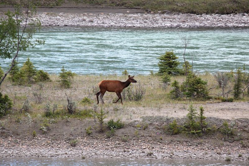 Youngsters along the roadway just outside of Jasper