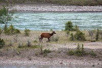 Youngsters along the roadway just outside of Jasper