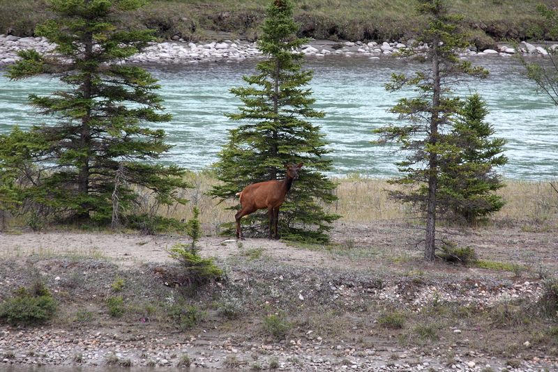 Youngsters along the roadway just outside of Jasper