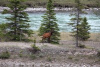 Youngsters along the roadway just outside of Jasper