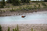 Youngsters along the roadway just outside of Jasper