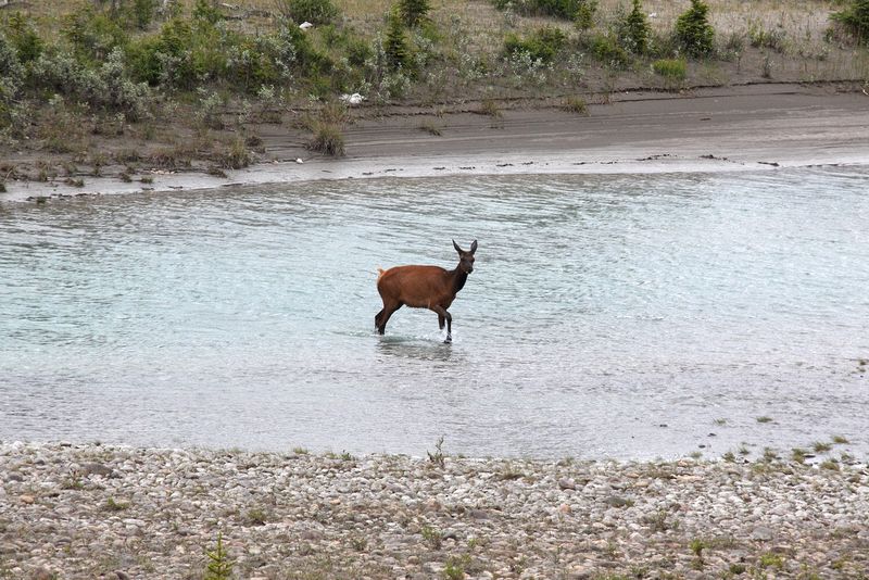 Youngsters along the roadway just outside of Jasper