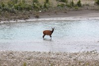 Youngsters along the roadway just outside of Jasper