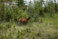 Youngsters along the roadway just outside of Jasper