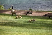 family visits outside our lodge room.