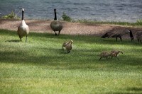 family visits outside our lodge room.