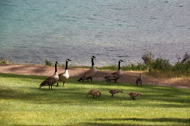 family visits outside our lodge room.
