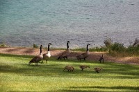 family visits outside our lodge room.
