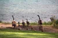 family visits outside our lodge room.