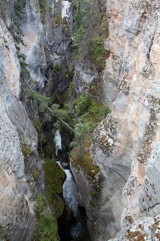 Maligne Canyon.  Just about 6 miles from the lodge.  A great day trip and quite a hike from end to end.