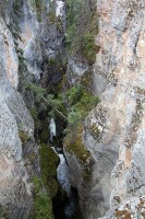Maligne Canyon.  Just about 6 miles from the lodge.  A great day trip and quite a hike from end to end.