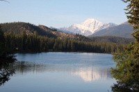 From our room at the Fairmont Jasper Park Lodge,.  This is the view we had to suffer every day.