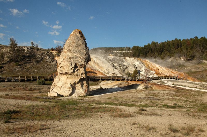 At Mammoth Hot Springs at the north end of Yellowstone National Park.