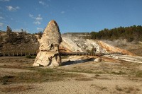 At Mammoth Hot Springs at the north end of Yellowstone National Park.