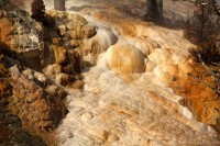 At Mammoth Hot Springs at the north end of Yellowstone National Park.