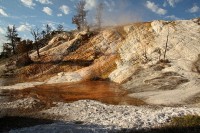 At Mammoth Hot Springs at the north end of Yellowstone National Park.