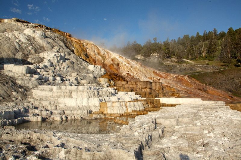 At Mammoth Hot Springs at the north end of Yellowstone National Park.