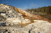 At Mammoth Hot Springs at the north end of Yellowstone National Park.