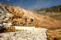 At Mammoth Hot Springs at the north end of Yellowstone National Park.