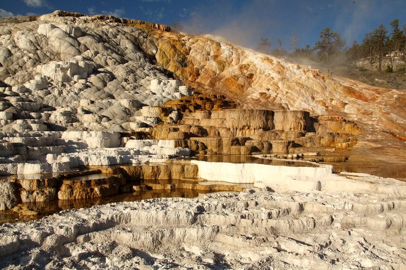 At Mammoth Hot Springs at the north end of Yellowstone National Park.
