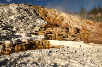 At Mammoth Hot Springs at the north end of Yellowstone National Park.