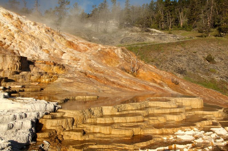 At Mammoth Hot Springs at the north end of Yellowstone National Park.