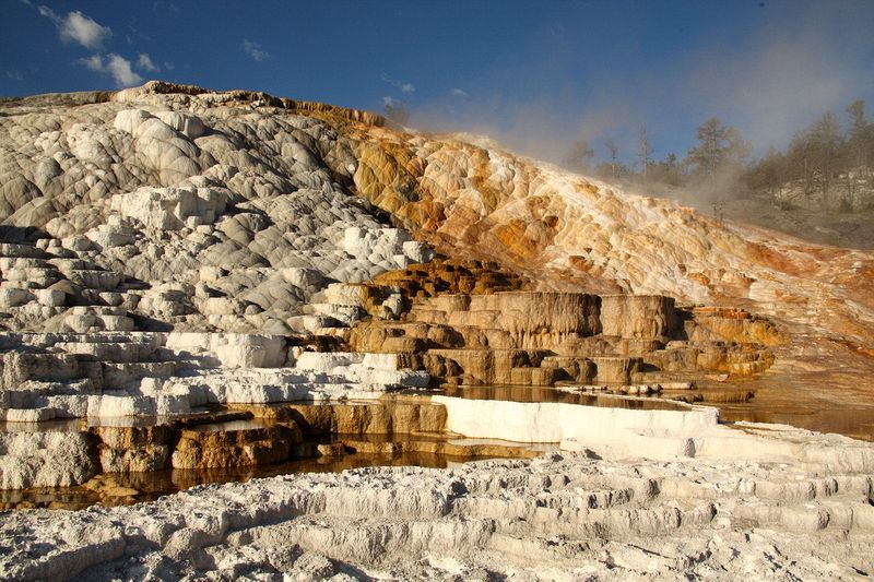 At Mammoth Hot Springs at the north end of Yellowstone National Park.