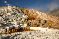 At Mammoth Hot Springs at the north end of Yellowstone National Park.