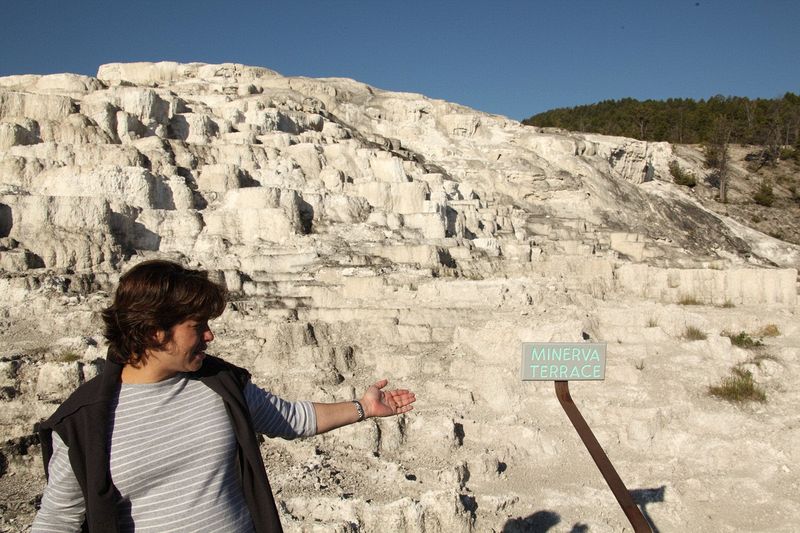 At Mammoth Hot Springs at the north end of Yellowstone National Park.