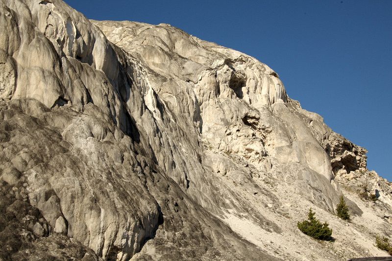 At Mammoth Hot Springs at the north end of Yellowstone National Park.
