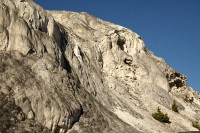 At Mammoth Hot Springs at the north end of Yellowstone National Park.
