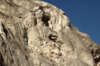 At Mammoth Hot Springs at the north end of Yellowstone National Park.