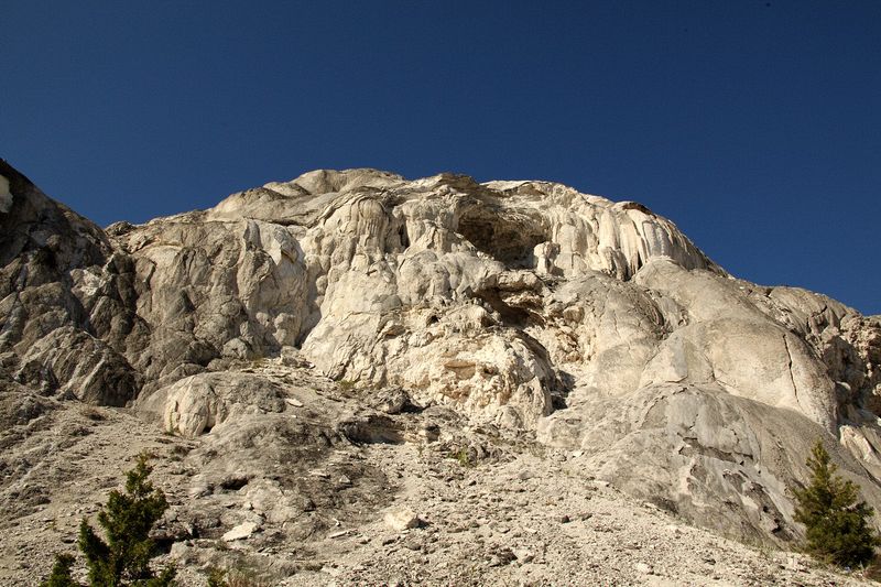 At Mammoth Hot Springs at the north end of Yellowstone National Park.