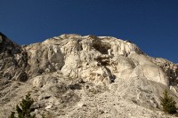 At Mammoth Hot Springs at the north end of Yellowstone National Park.