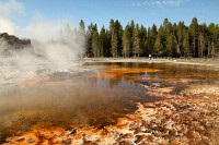 Walking around the geyser fields at Old Faithful