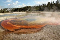 Walking around the geyser fields at Old Faithful