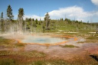Walking around the geyser fields at Old Faithful.